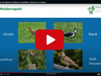Video: inrichting & beheer polder Bilwijk
