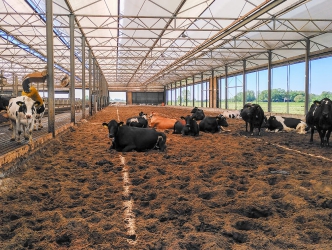 Subsidieaanvraag voor fysieke investeringen 