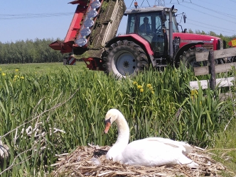 Selectie/toebedeling natuurgronden 